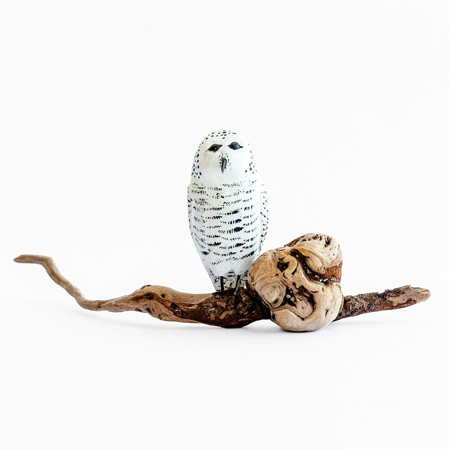 Mini Snowy Owl on Driftwood | Susan Bacle