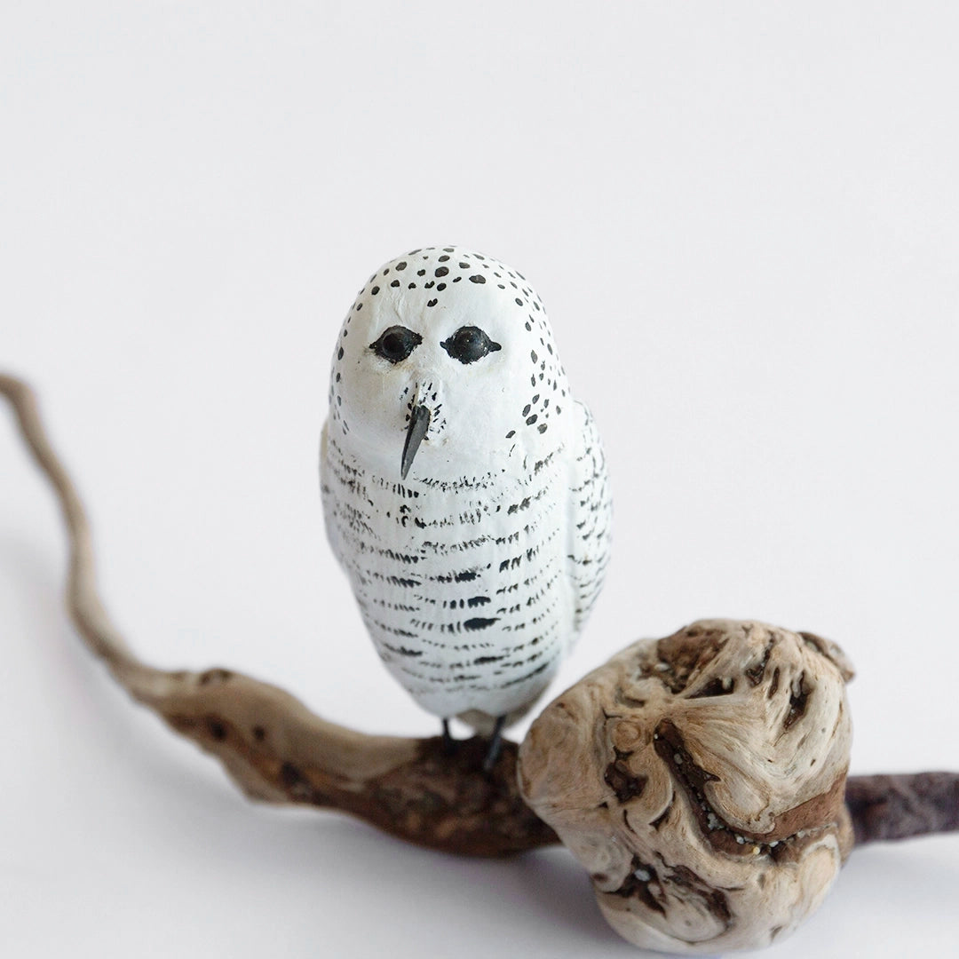 Mini Snowy Owl on Driftwood | Susan Bacle