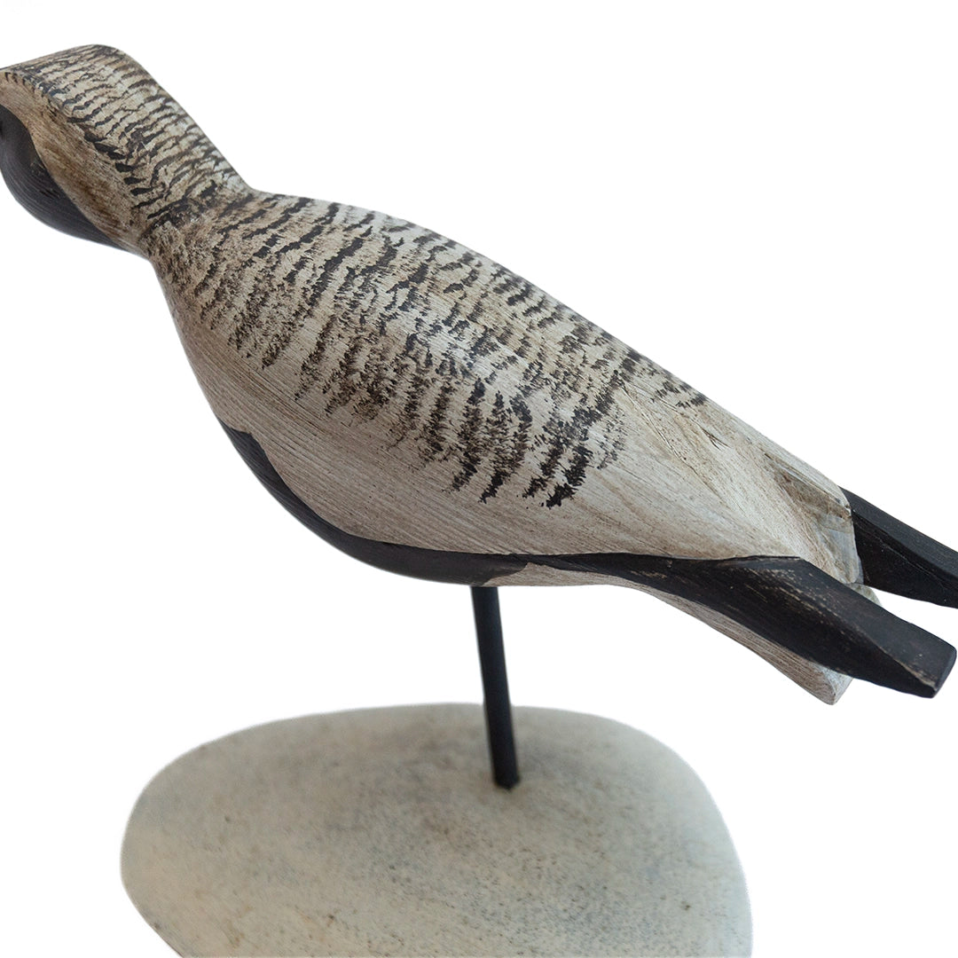Black Bellied Plover Carving | William Sarni