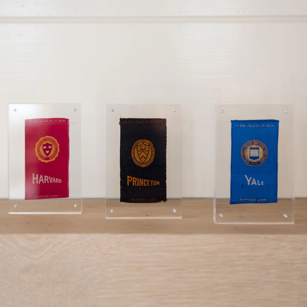 Collegiate Silk | Princeton