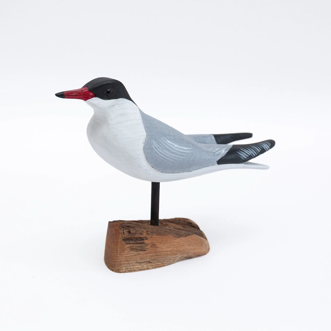 Common Tern Carving | William Sarni