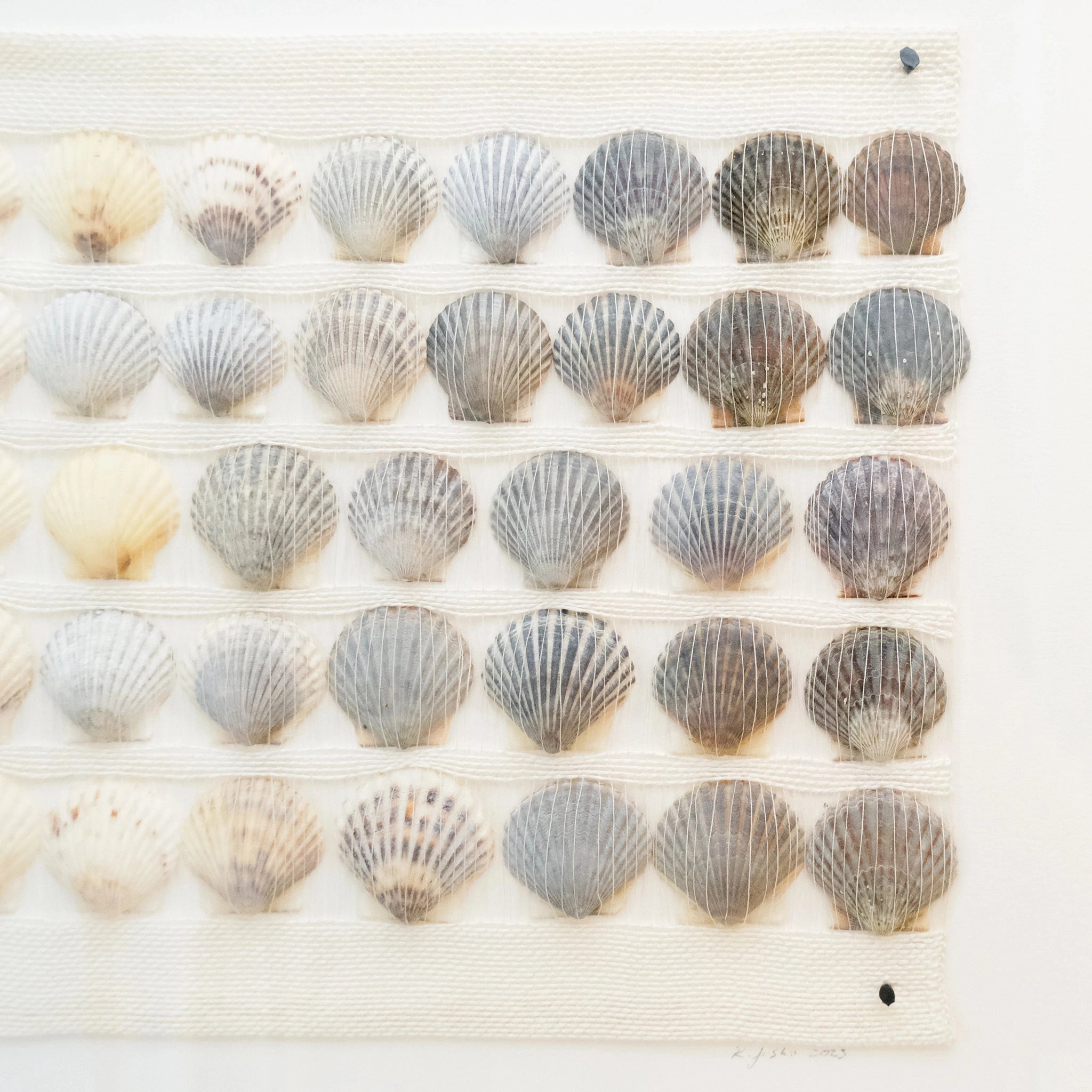 Handwoven Ombre Scallop Shell Vignette | Rebecca Jusko Peraner