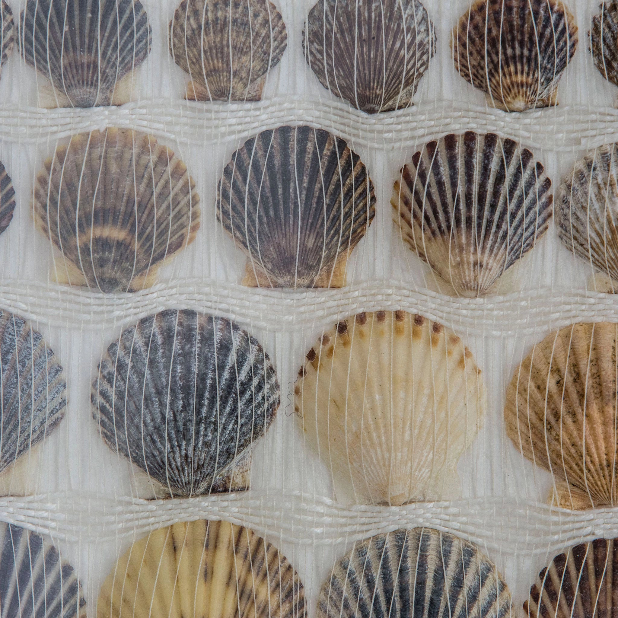Handwoven Scallop Vignette | Rebecca Jusko Peraner