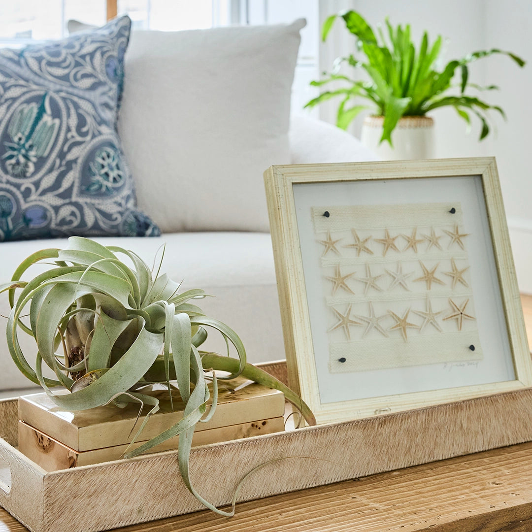 Handwoven Starfish Vignette | Rebecca Jusko Peraner
