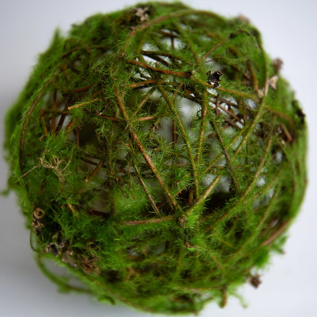 Moss and Twig Sphere
