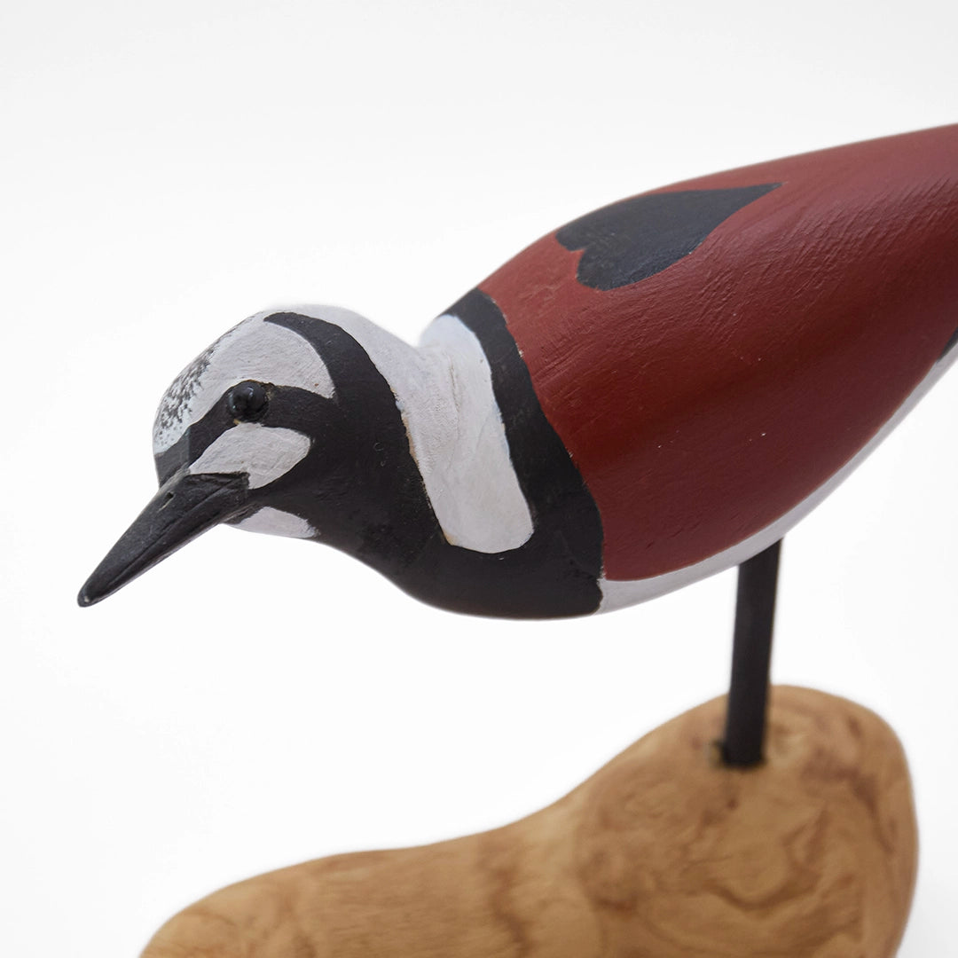Ruddy Turnstone on Driftwood | William Sarni
