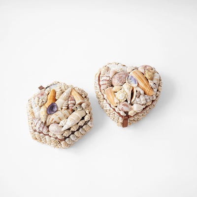 Shell Trinket Box