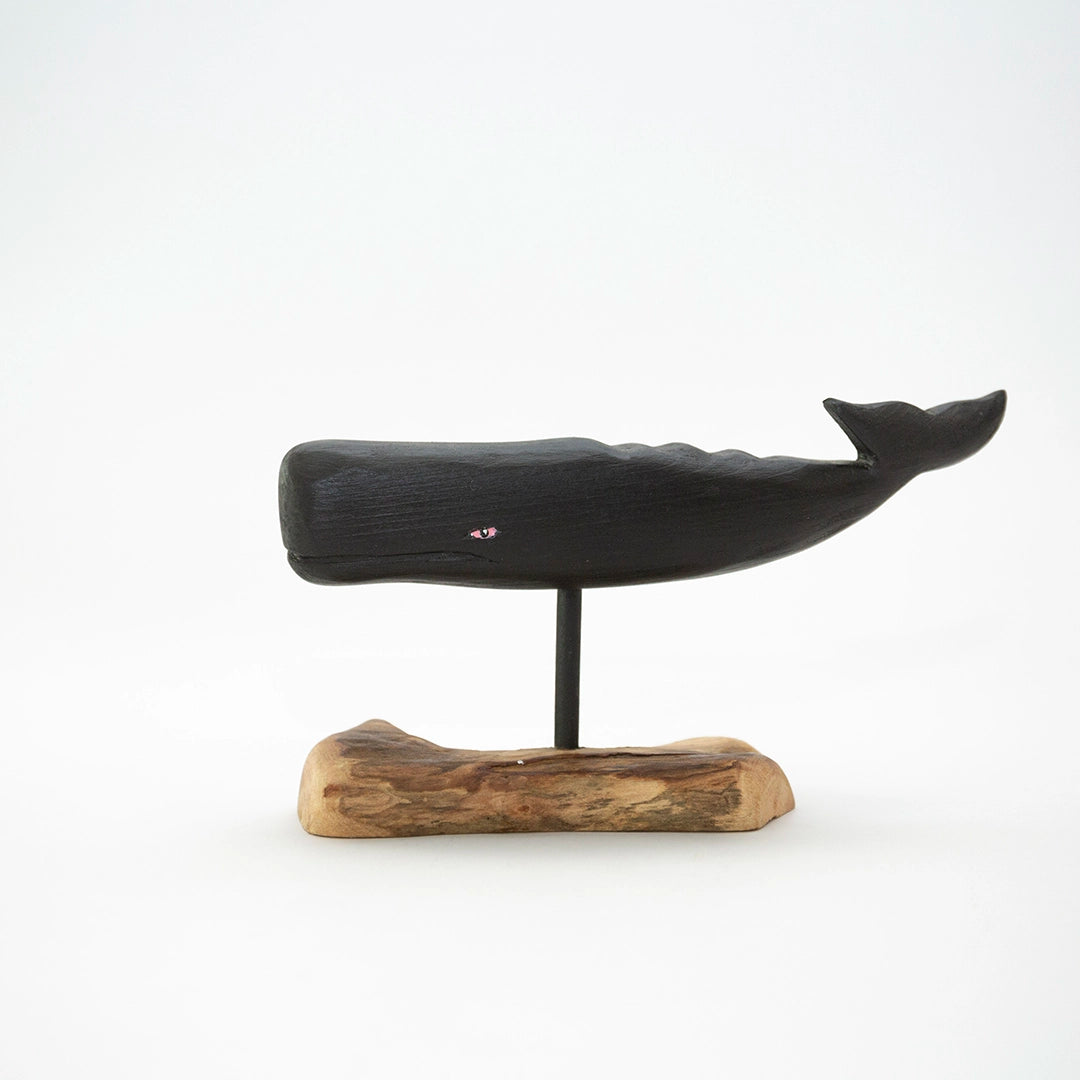Small Sperm Whale on Driftwood | William Sarni