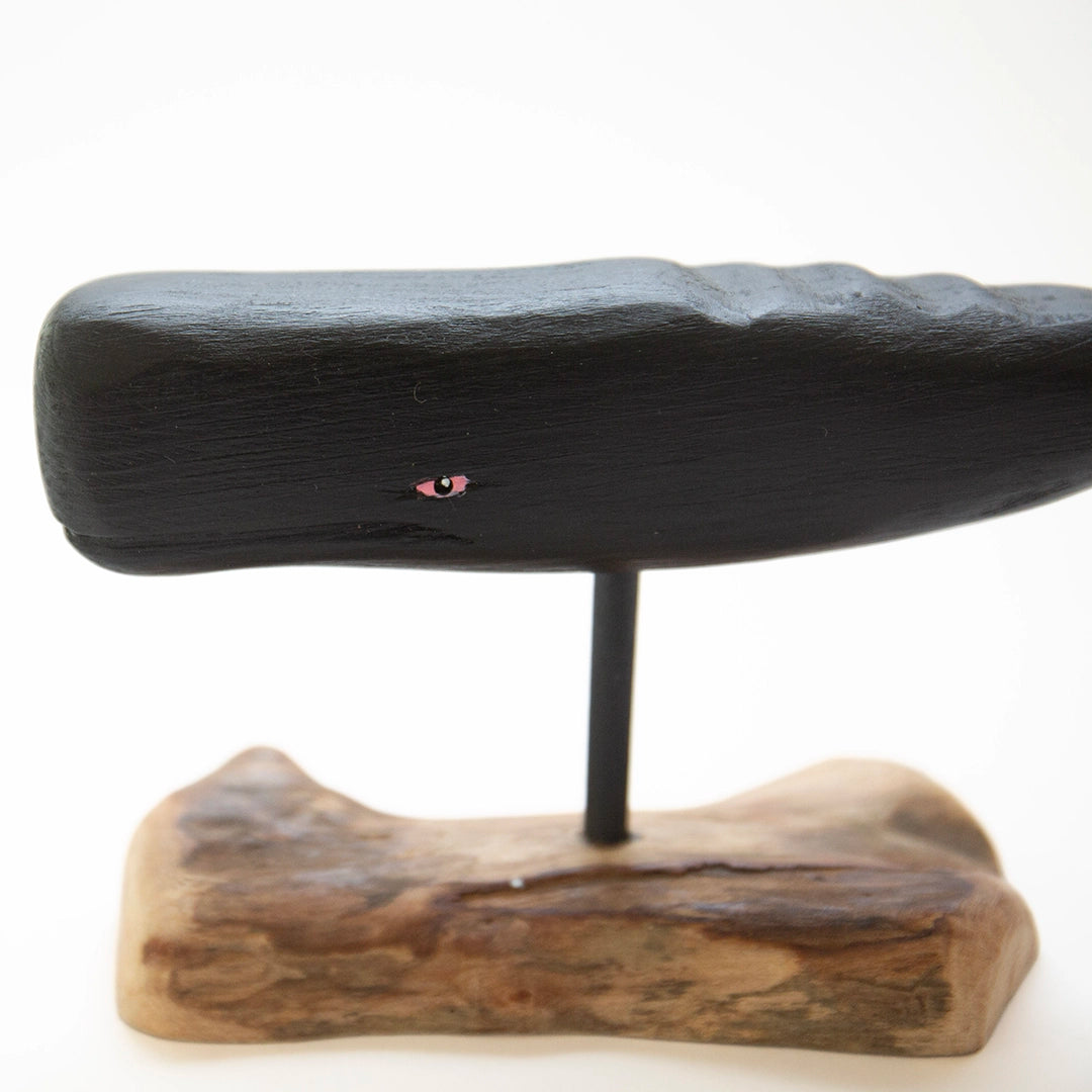 Small Sperm Whale on Driftwood | William Sarni
