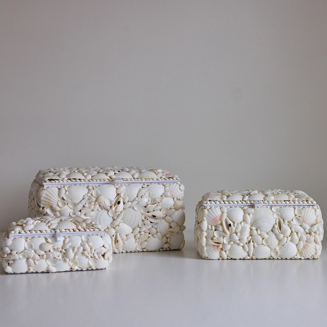 White Seashell Box