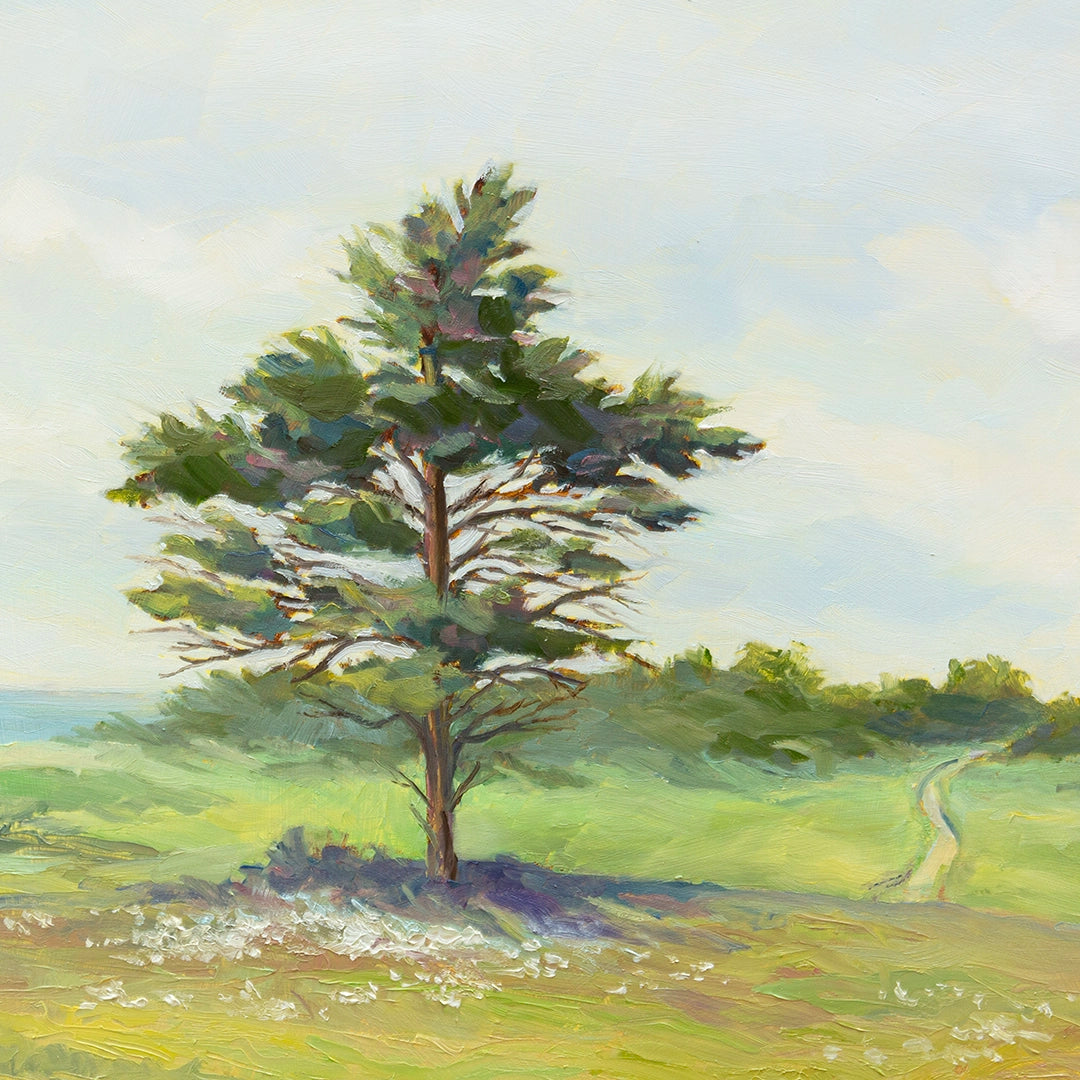 Wild Daisies | Robert Frazier