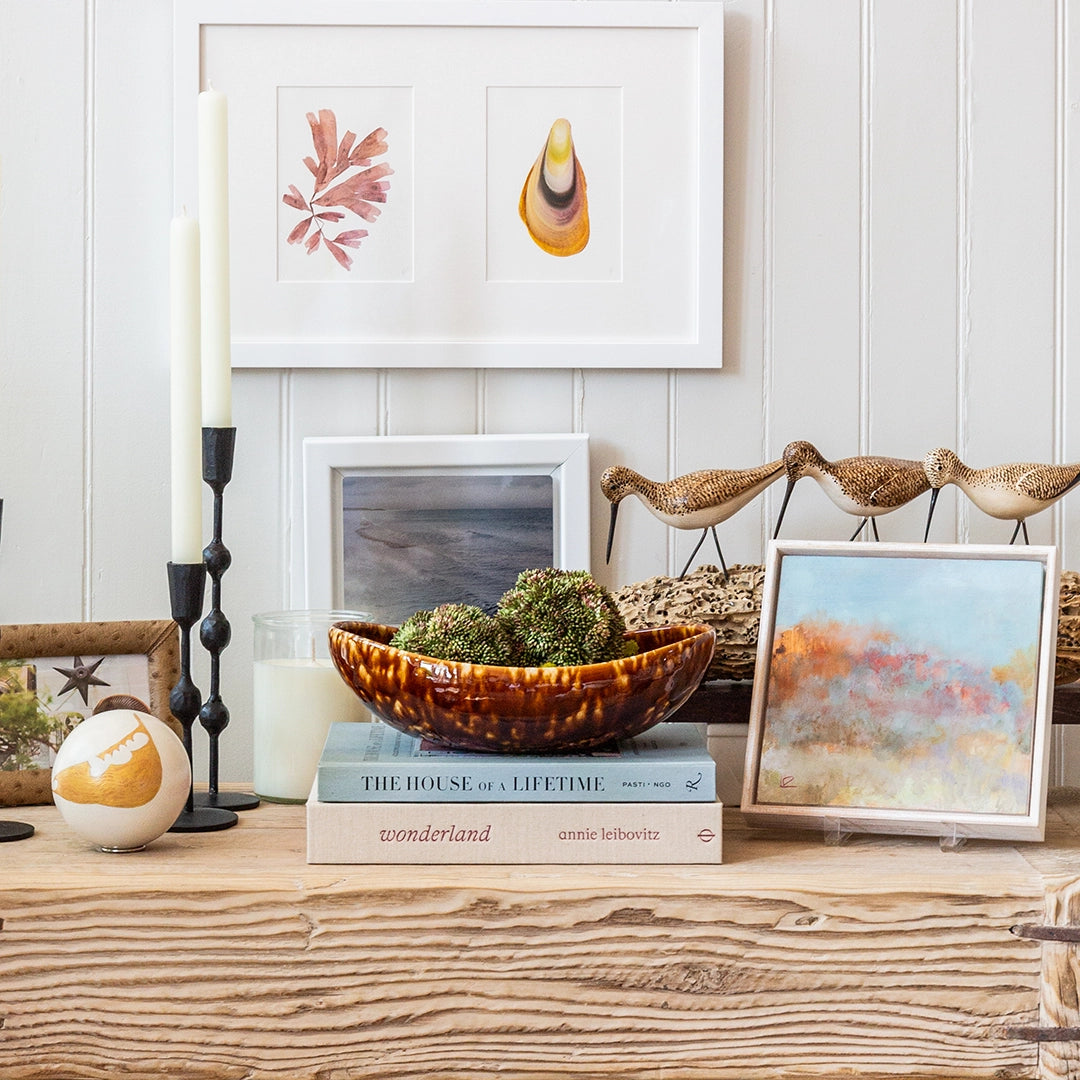 Watercolor Seaweed + Shell | Elizabeth Sutherland