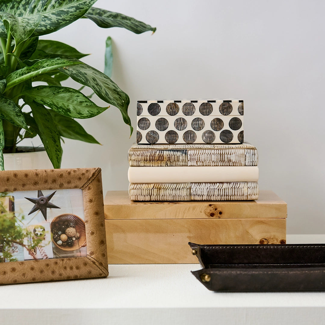Burl Wood Storage Box
