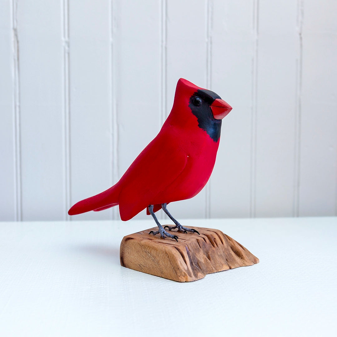 Cardinal on Driftwood | William Sarni