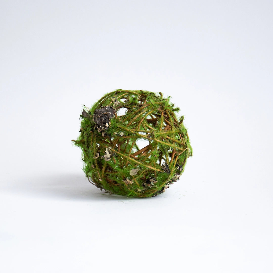 Moss and Twig Sphere
