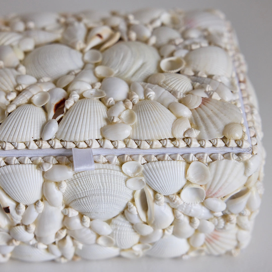 White Seashell Box