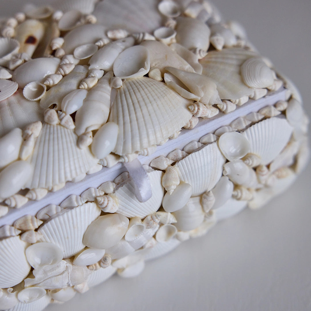 White Seashell Box