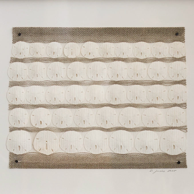 Handwoven Sand Dollar Vignette | Rebecca Jusko Peraner