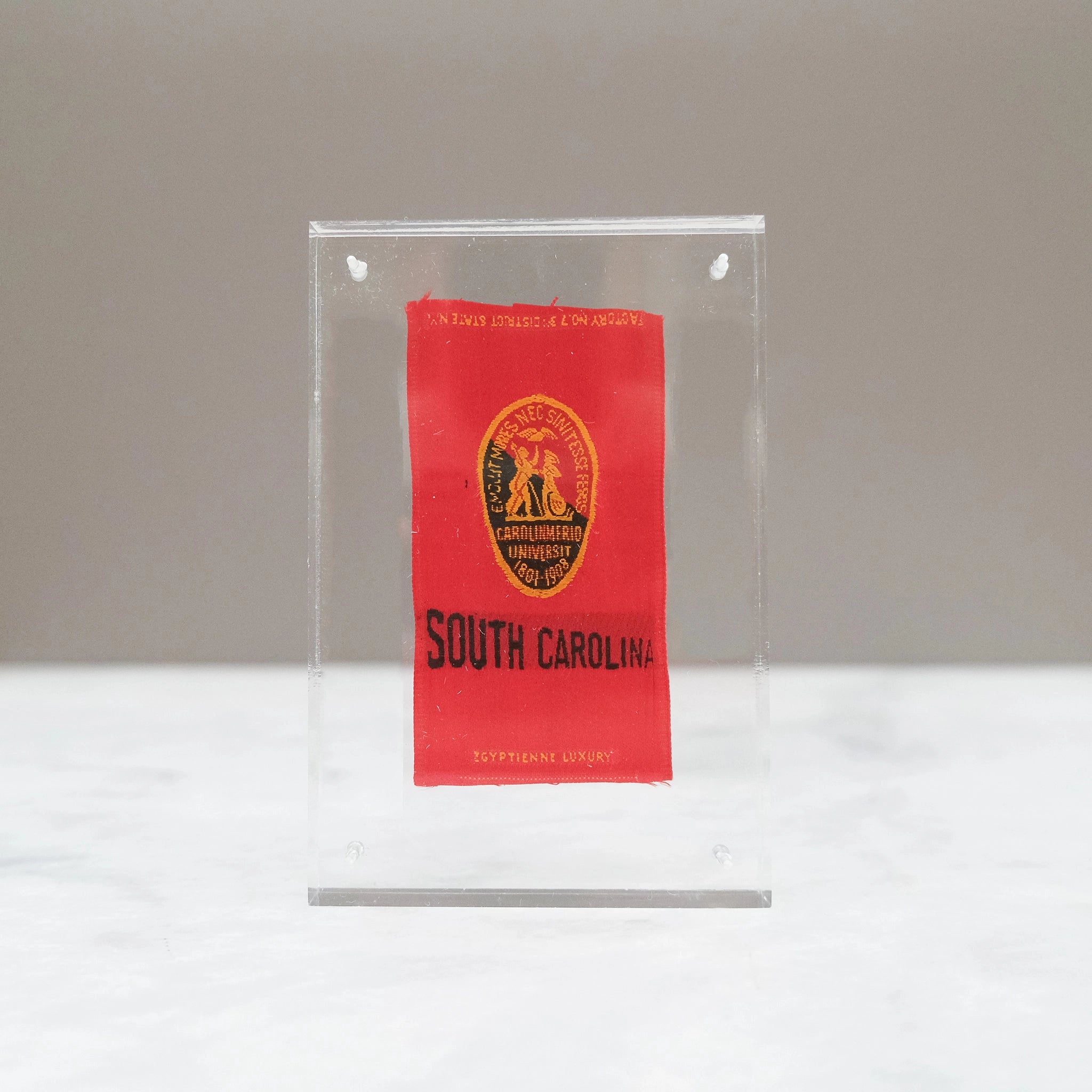 Vintage Collegiate Silk | South Carolina