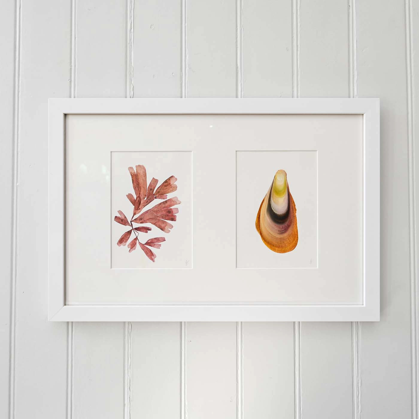 Watercolor Seaweed + Shell | Elizabeth Sutherland