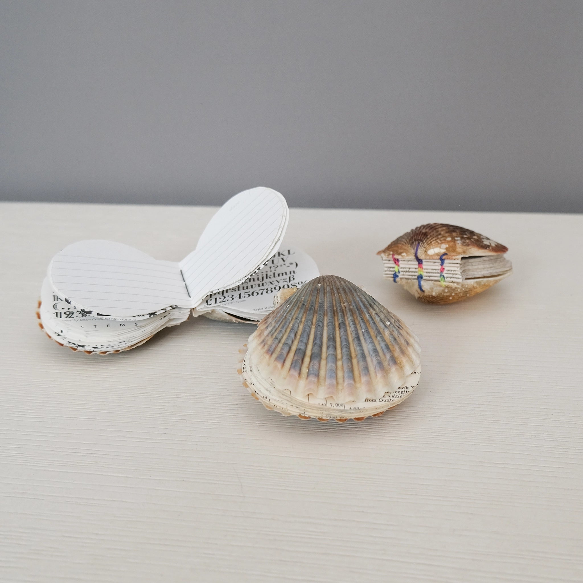 Handmade Scallop Journal